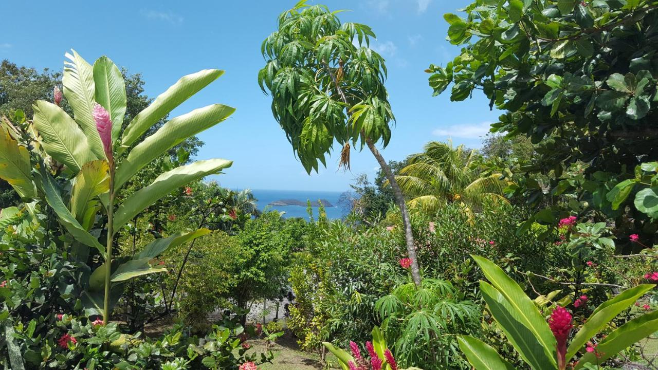 Vacances Bien Etre Guadeloupe Bouillante Exterior photo