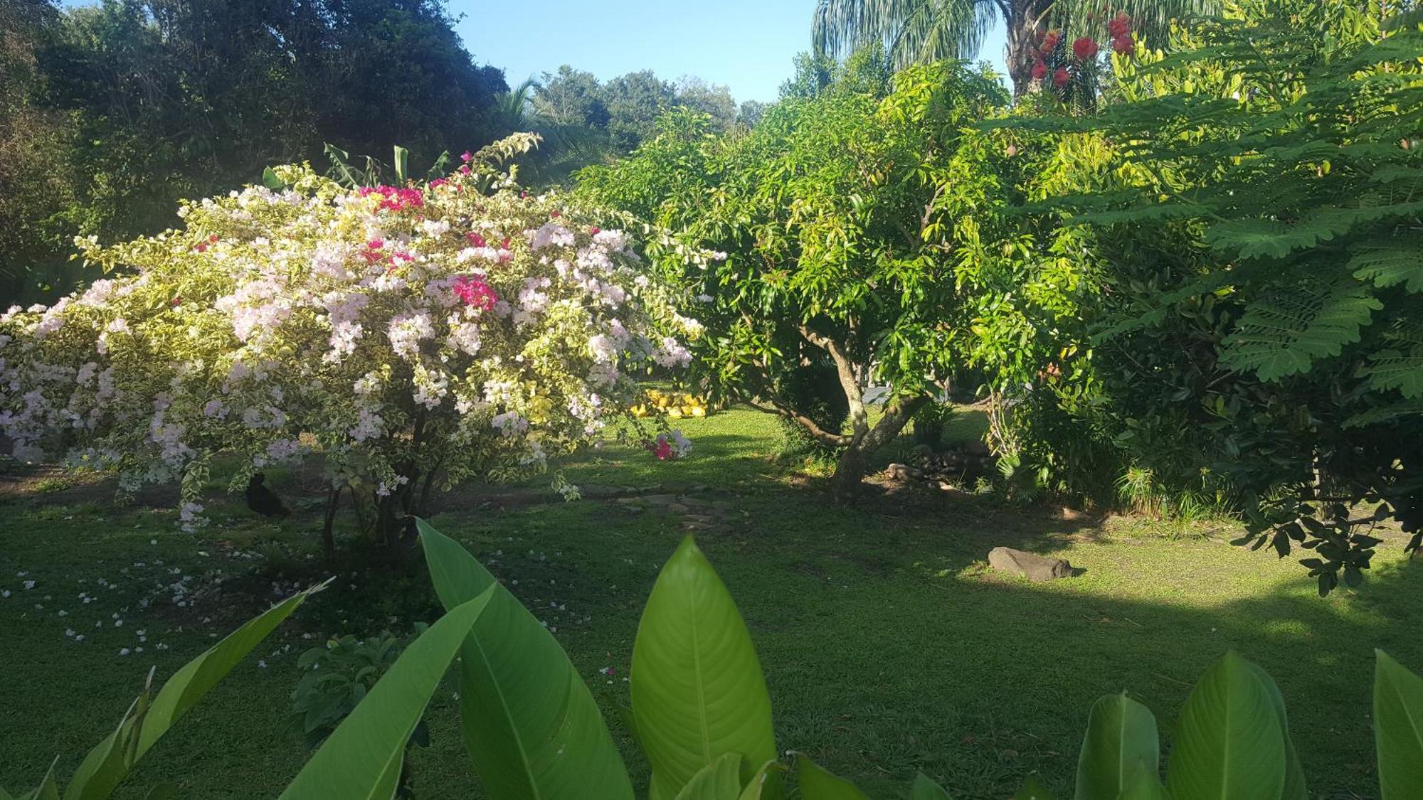 Vacances Bien Etre Guadeloupe Bouillante Exterior photo